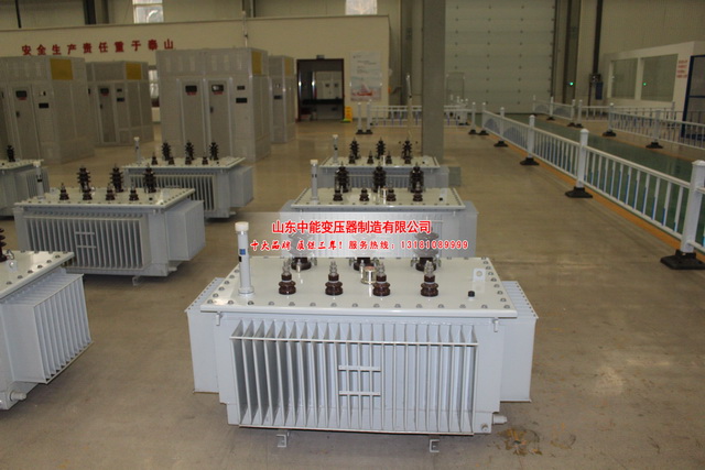 临泉S11-8000KVA油浸式变压器
